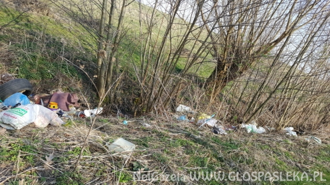 Kolejny sprawca nielegalnego wyrzucania śmieci ustalony 