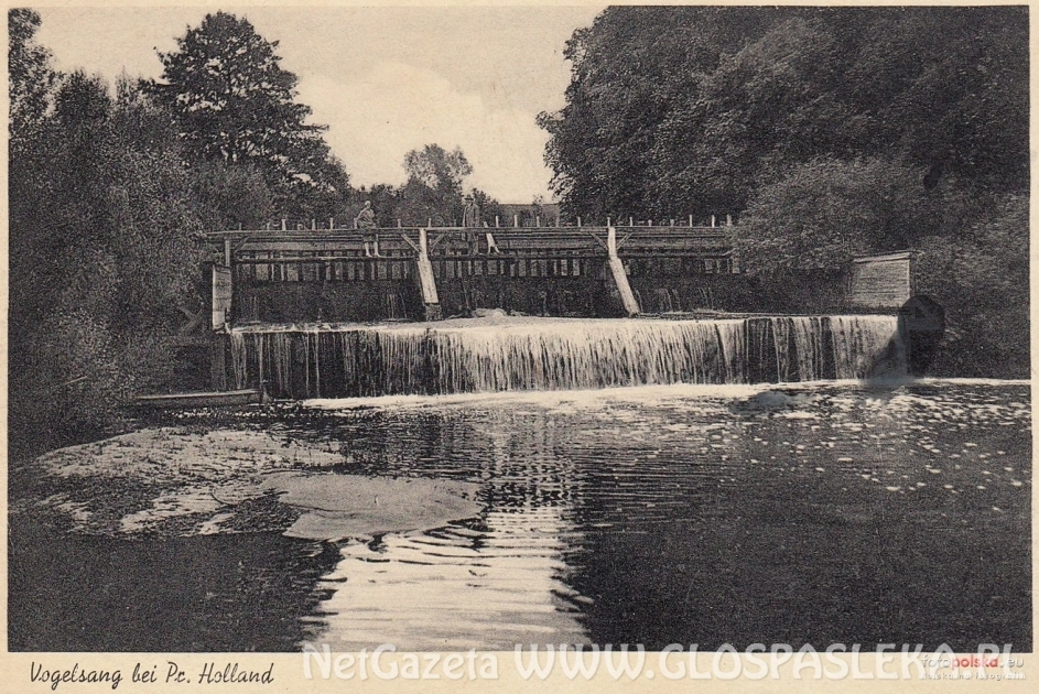 Remont jazu w Kupinie