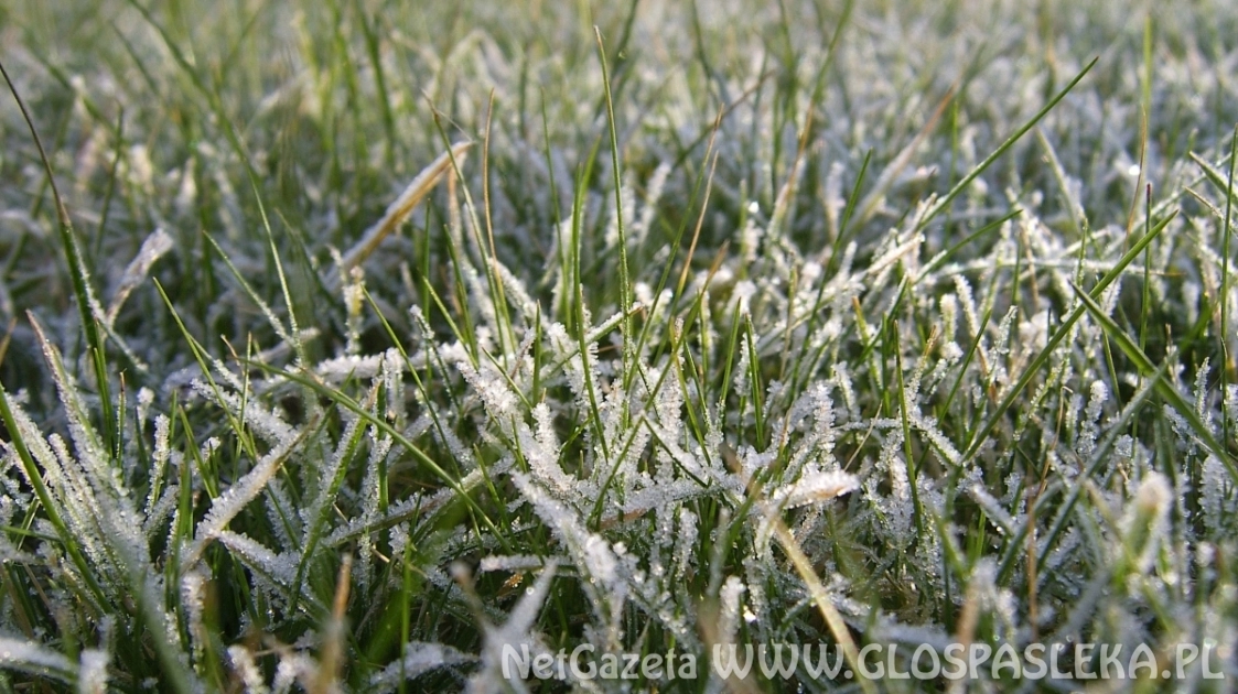 Nad ranem przymrozki