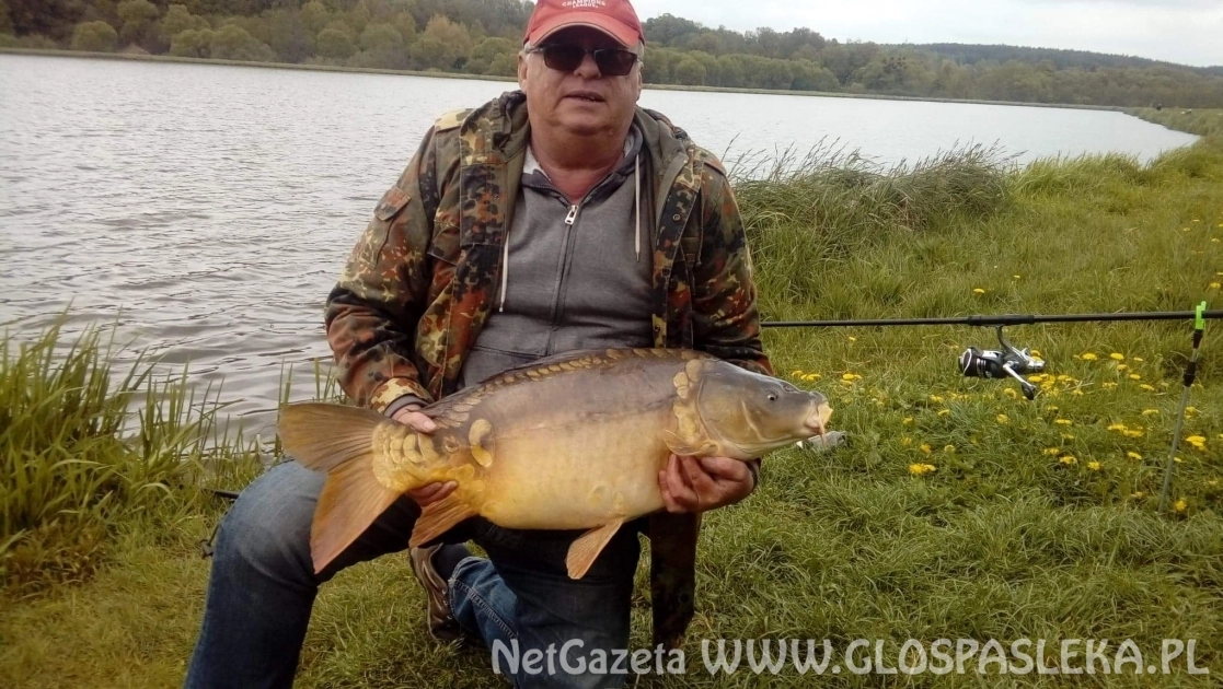 Trzy karpie pana Henryka