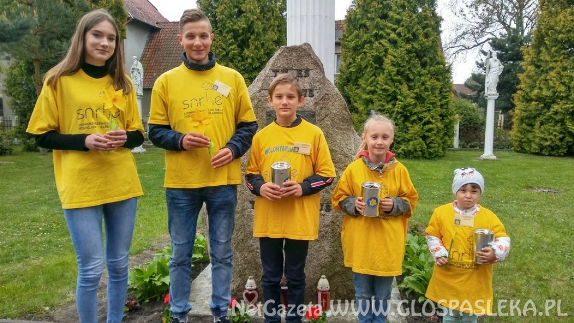 Żonkilowa pomoc dla Elbląskiego Hospicjum 