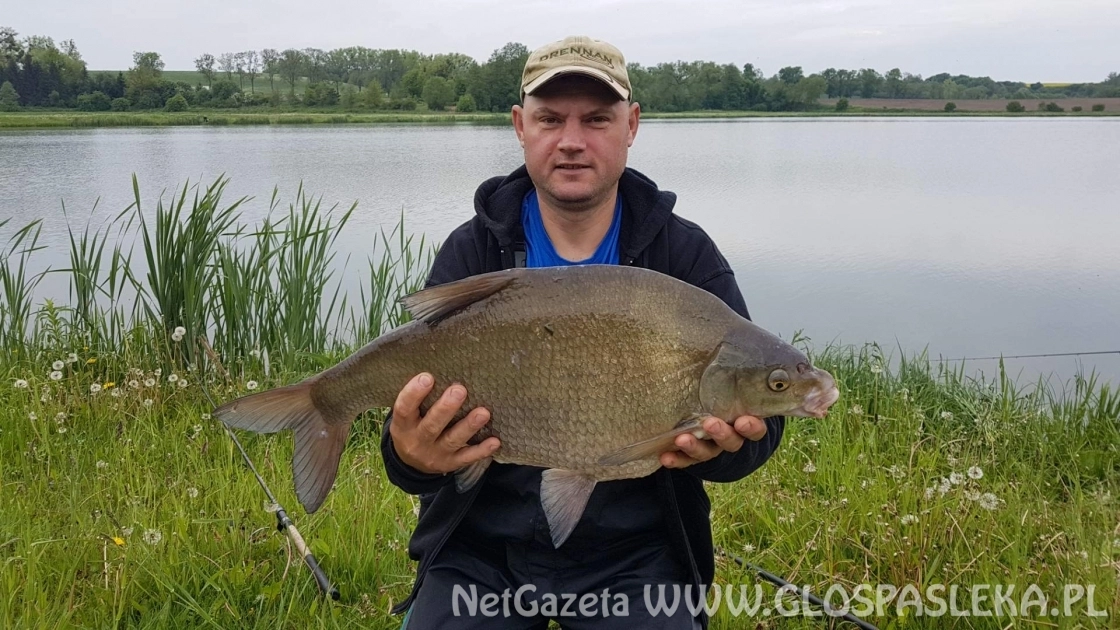 Rekordowe leszcze z Zakrzewka II
