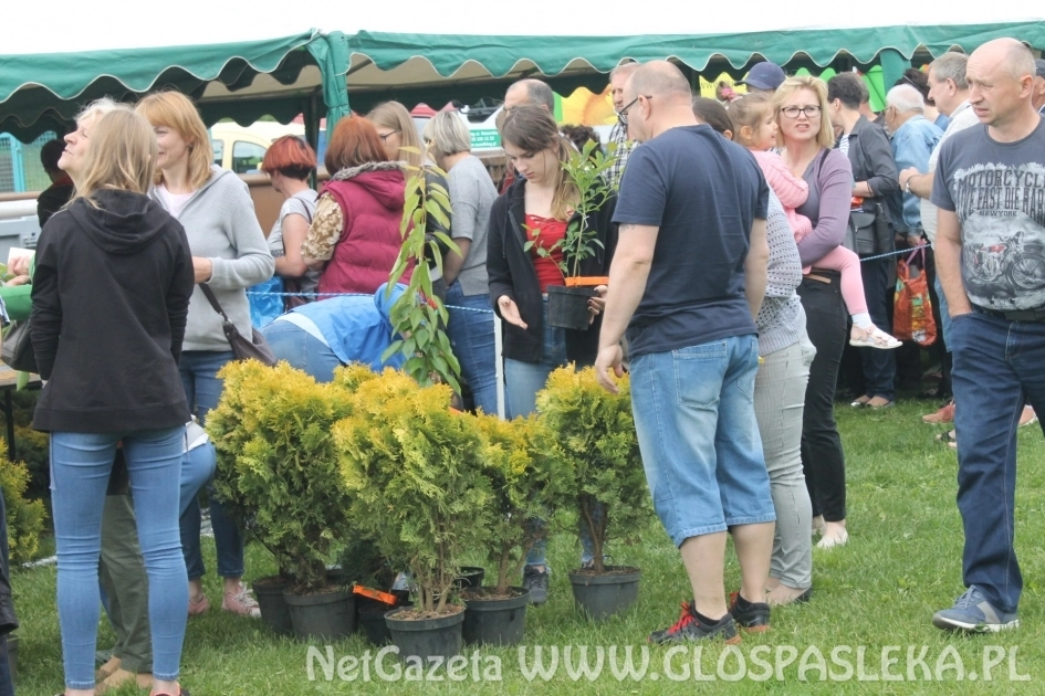 Udany Festyn Ekologiczny