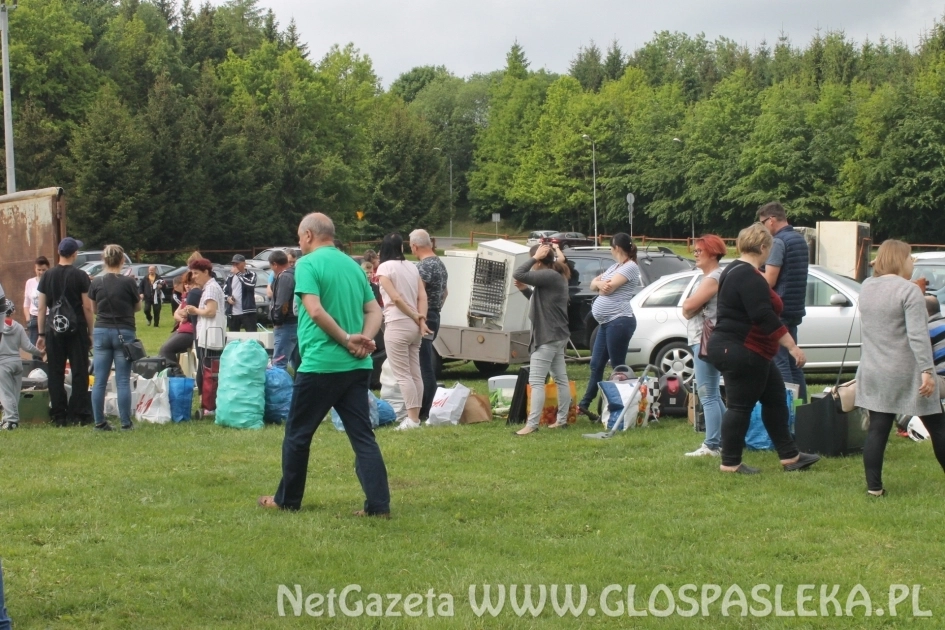 Efekt Festynu Ekologicznego