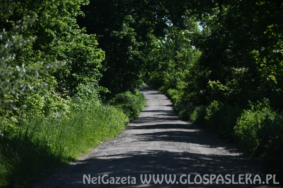 Rusza budowa drogi do Piniewa 