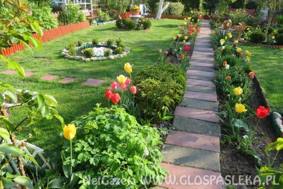 Najładniejsza Posesja oraz Aktywna i Czysta Wieś