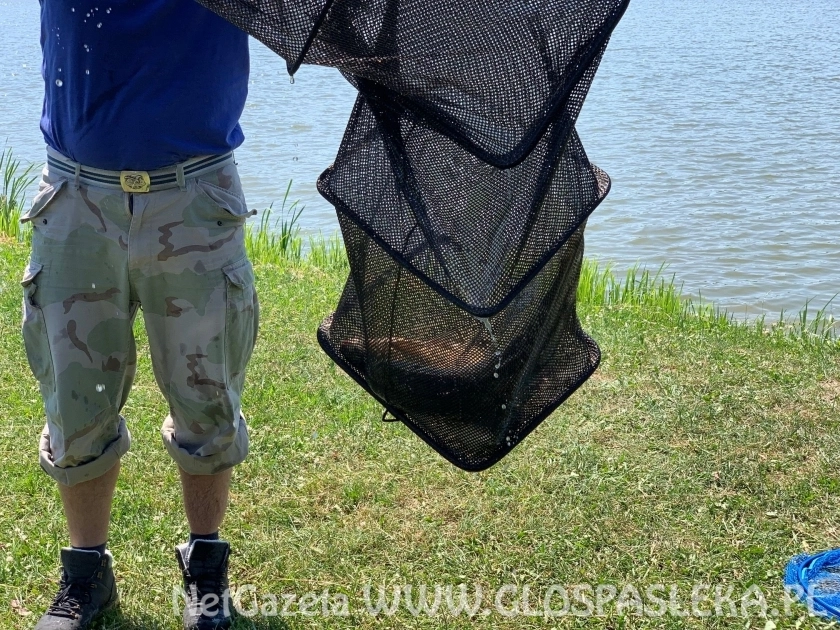 Grand Prix  Zakrzewka II