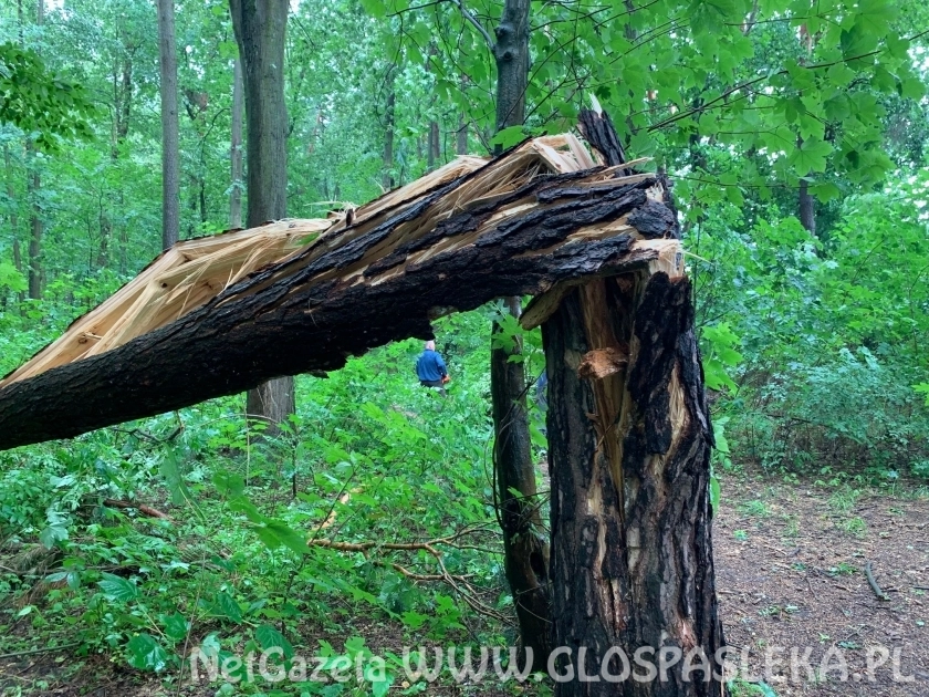 Efekty potężnej burzy