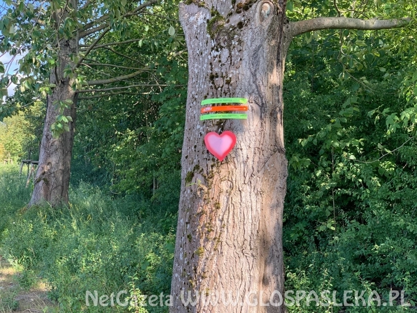 Kochaj bliźniego swego