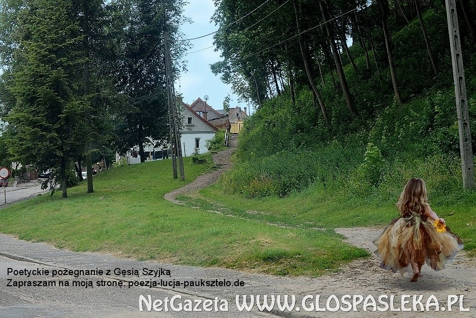 POETYCKIE POŻEGNANIE Z GĘSIĄ SZYJKĄ