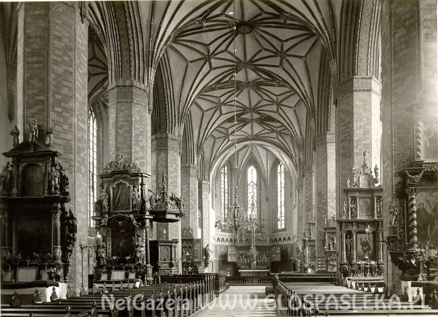 Różaniec Syberyjski 