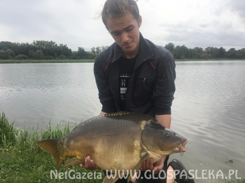 Karp 18,800 kg