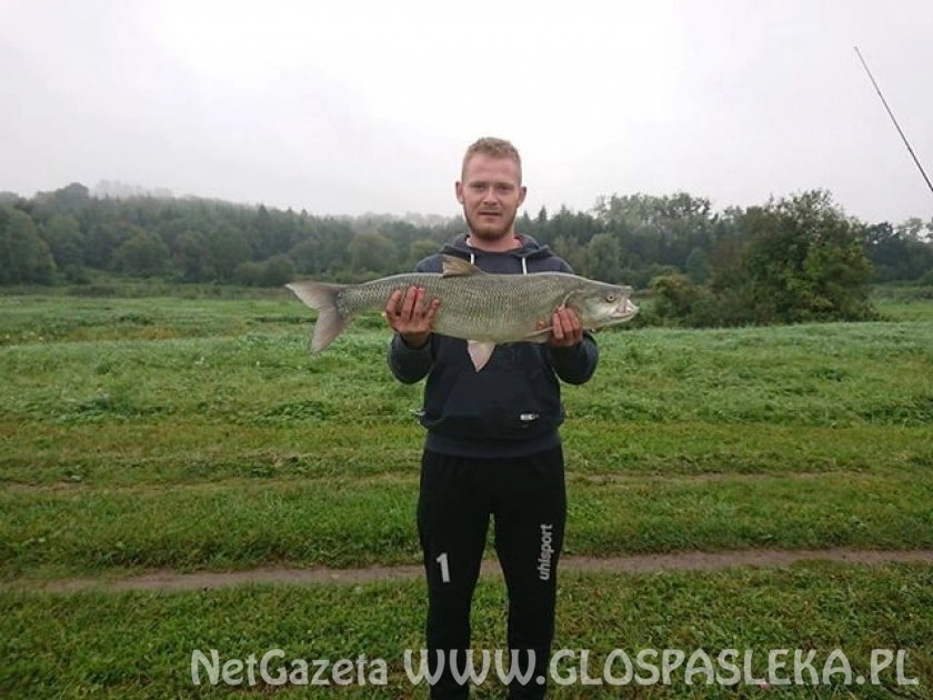 Boleń z Zakrzewka II 