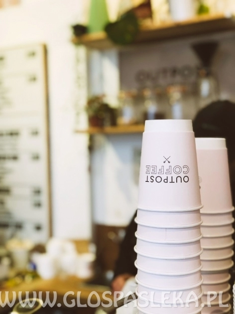 Kubki jednorazowe: 3 rodzaje