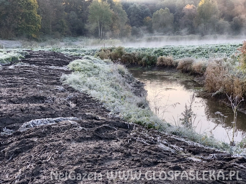 Porządkowanie Kanału Młyńskiego