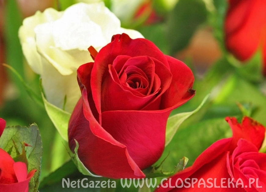 Dzień Edukacji Narodowej