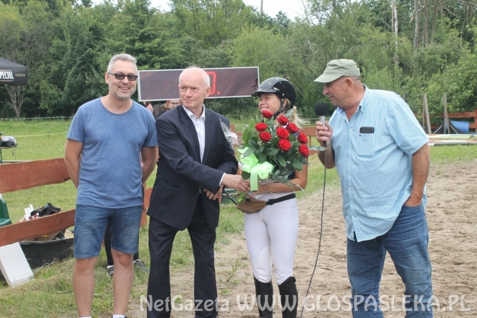 Wyniki wyborów w gminie Pasłęk 