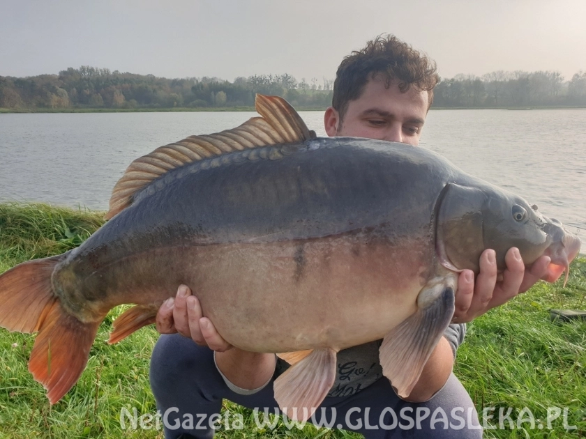 19 kg karp na koniec sezonu