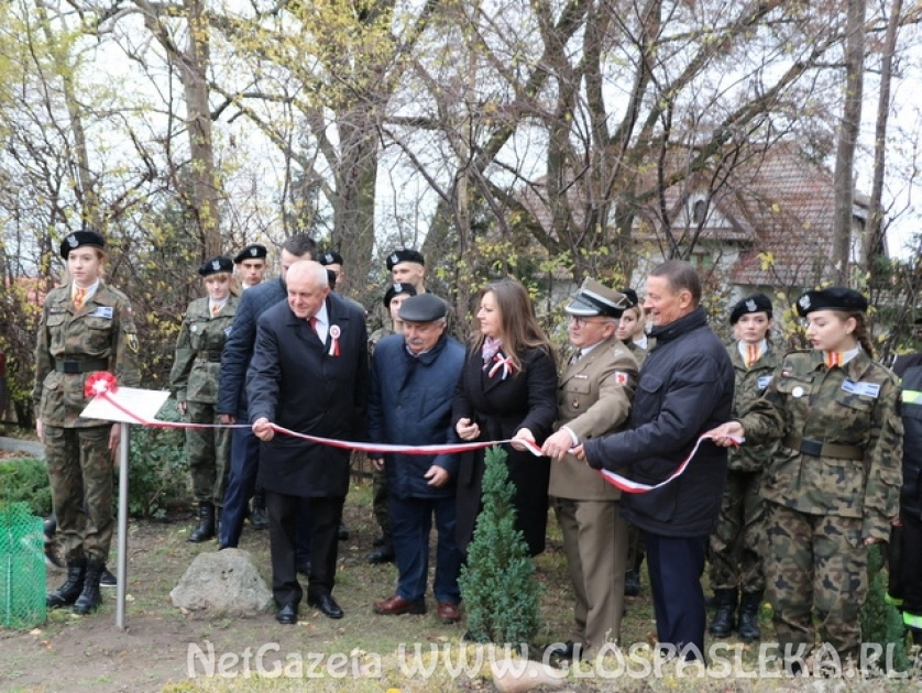 Dąb Niepodległości