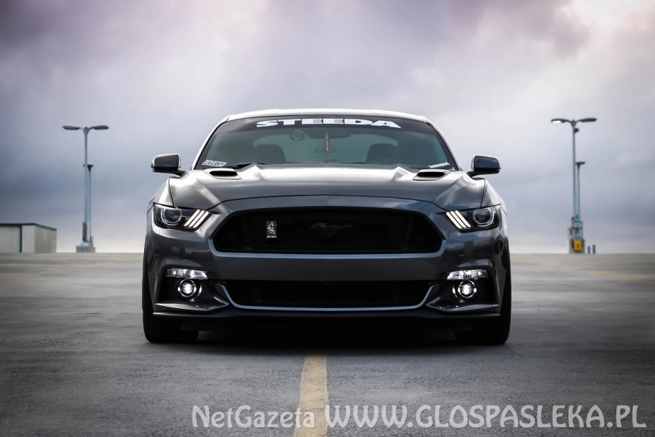 Darowizna samochodu – wszystko, co musisz wiedzieć