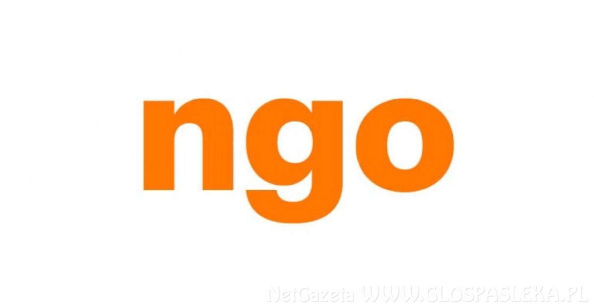 Konkurs ofert na zlecenie zadań organizacjom pozarządowym na rok 2020