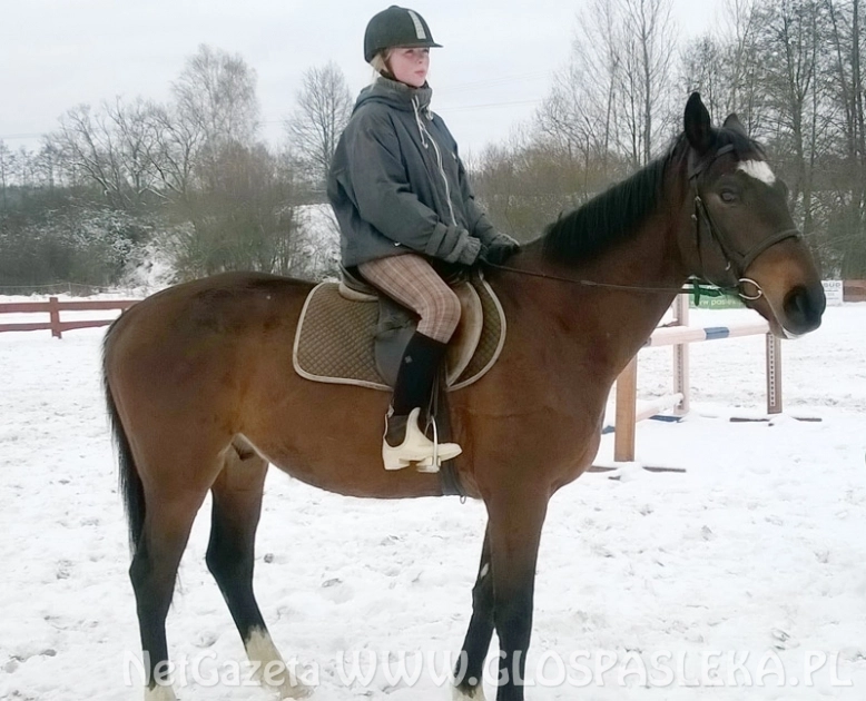 Zaproszenie na ferie z MOSiR – em