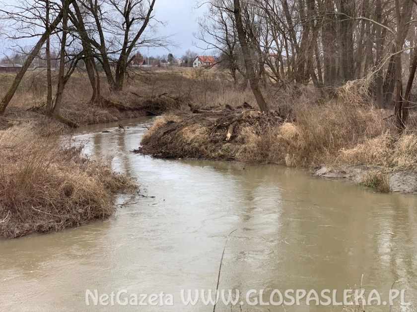 Likwidują zatory na Wąskiej