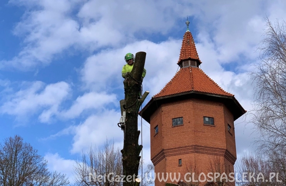 Porządkowanie wzgórza zamkowego