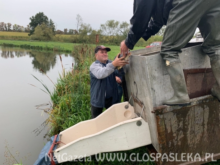 Rusza sprzedaż karnetów