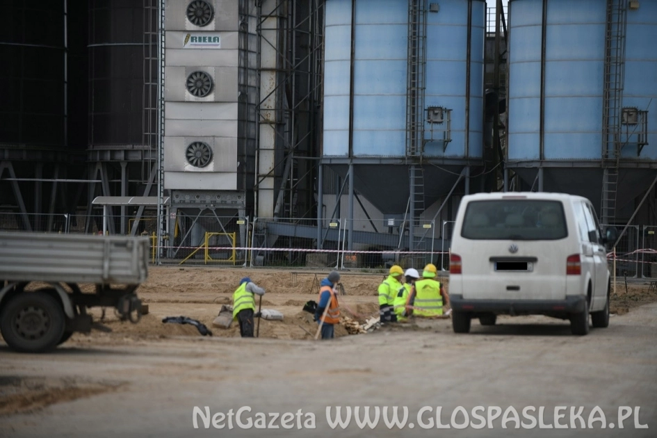 Inwestycja firmy Biofeed