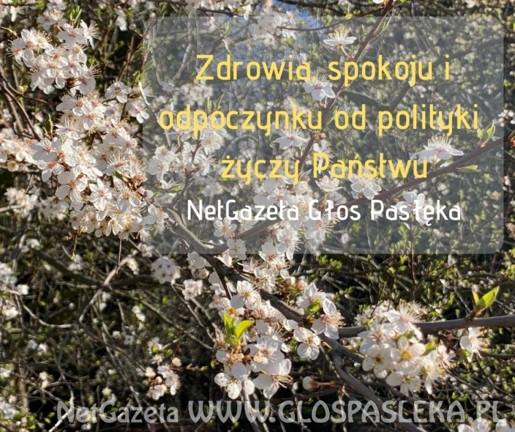 Zdrowia i spokoju