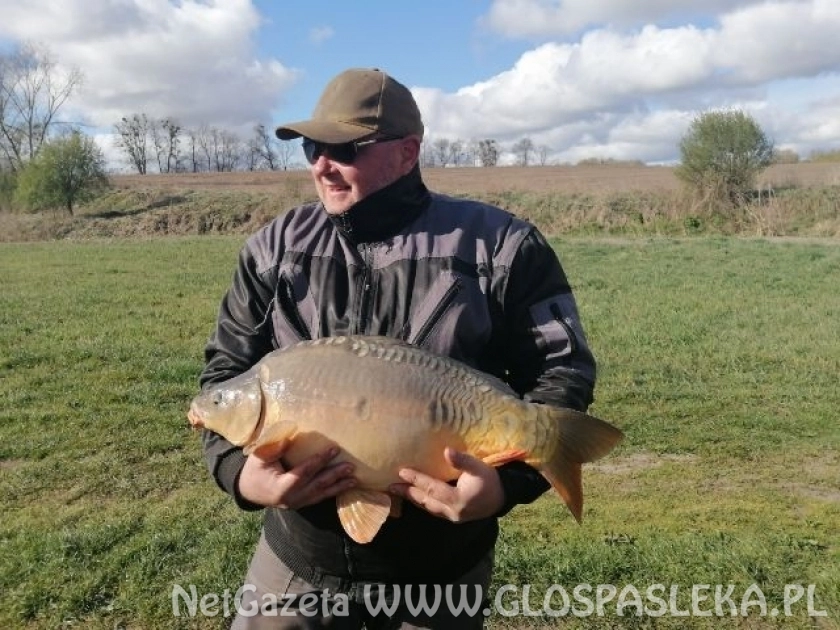 Karp pana Radosława