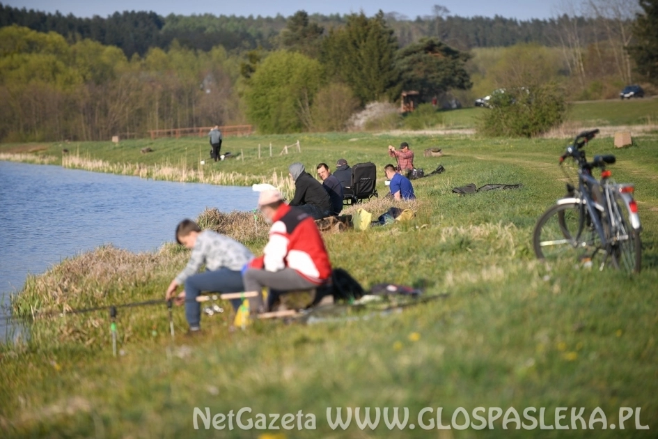 Grand Prix Zakrzewka II