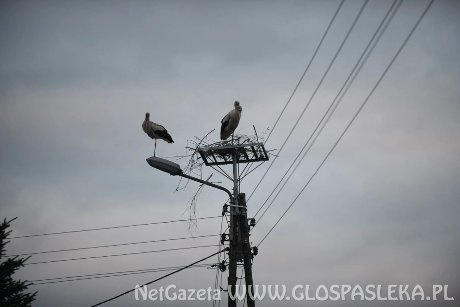 Błyskawiczna akcja energetyków