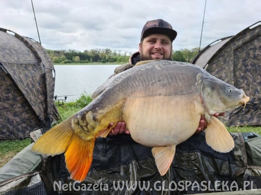 Karpie na truskawkę