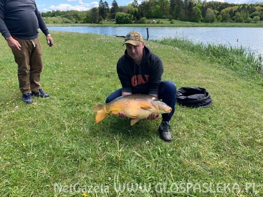 Karp na przynętę z czosnkiem