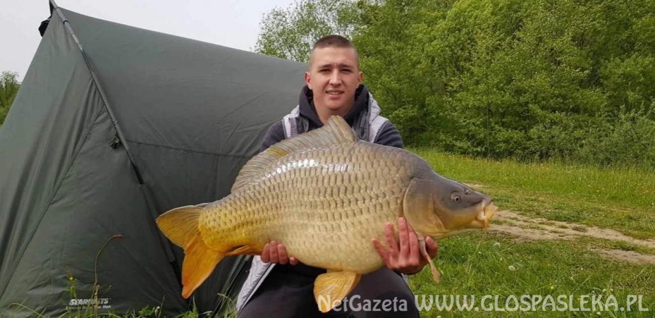 Kolejne okazy z Zakrzewka II