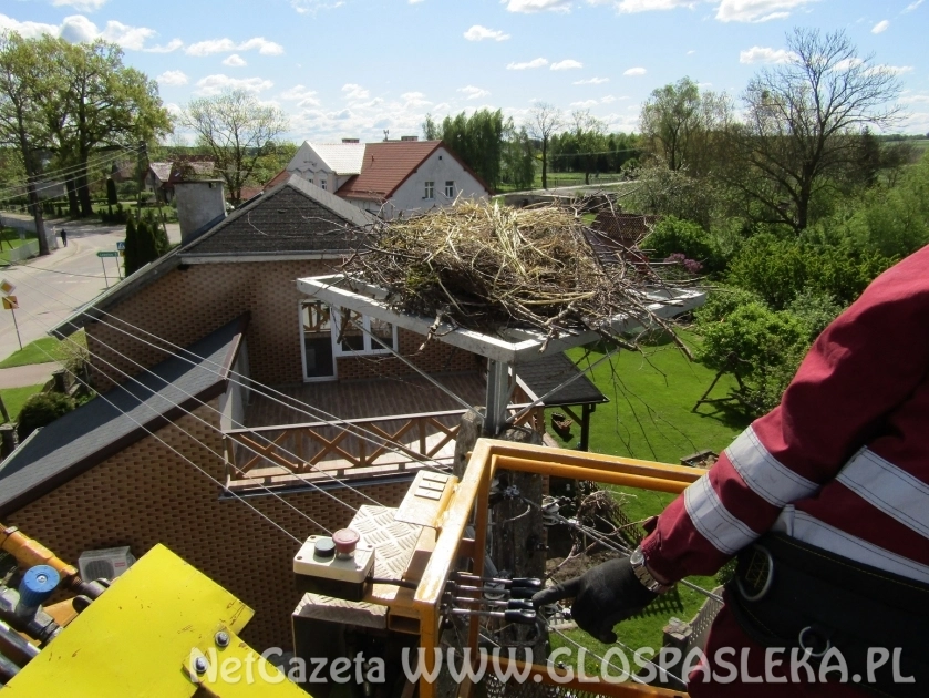 Trzy nowe platformy dla boćków z Rogajn