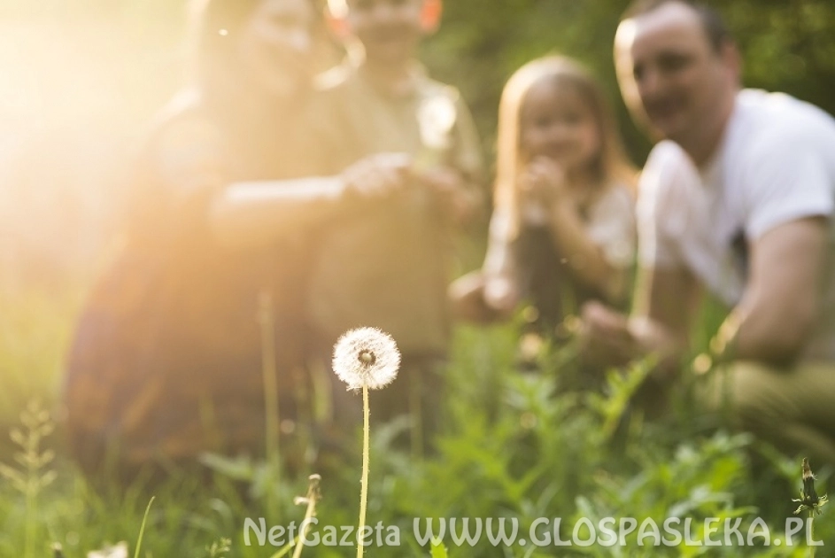 Konkurs fotograficzny