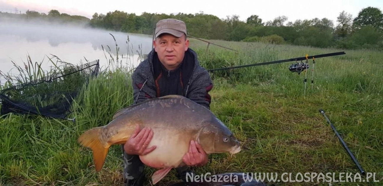 Patent na karpie i amury