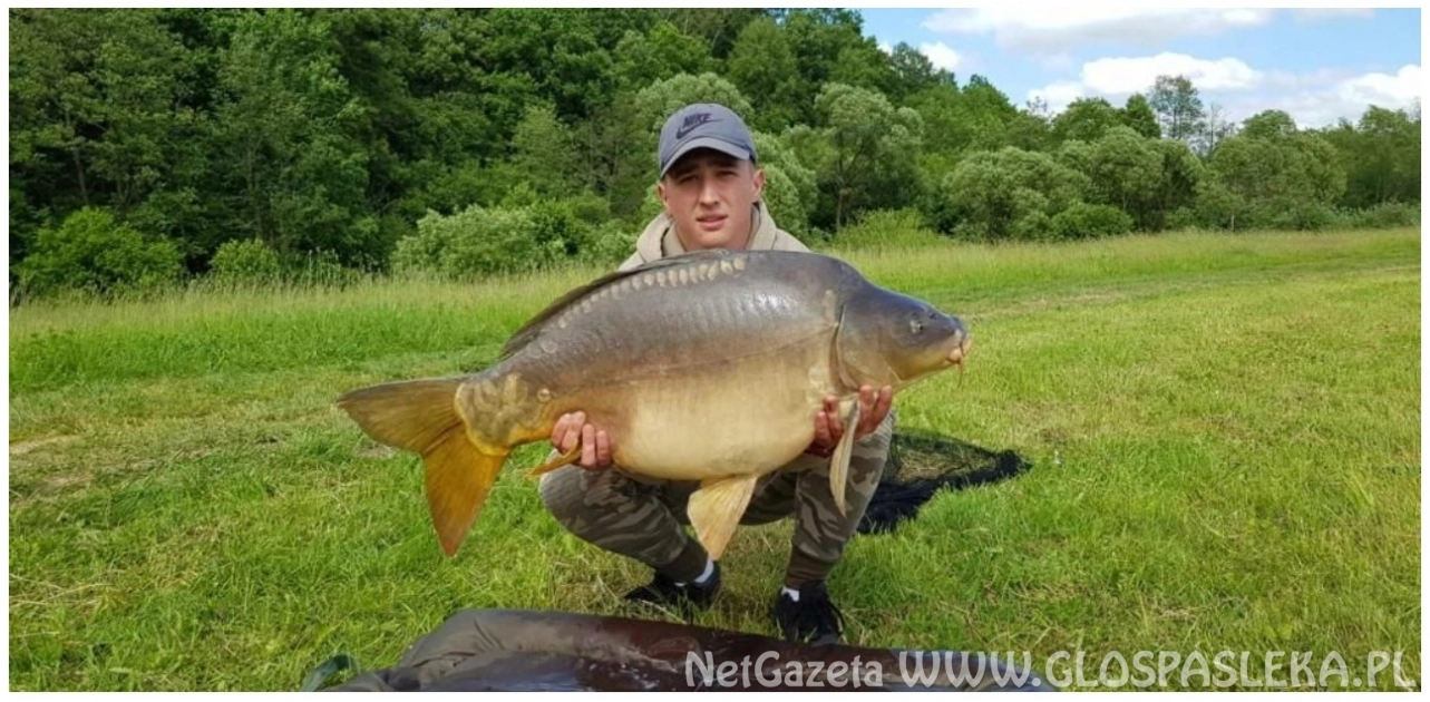 Piękne karpie Radka