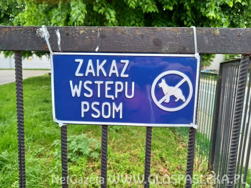 To nie jest wybieg dla psów