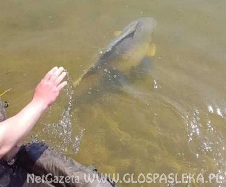 Przypominamy o zawodach wędkarskich
