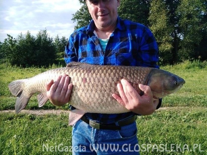 Piękny amur z Zakrzewka II