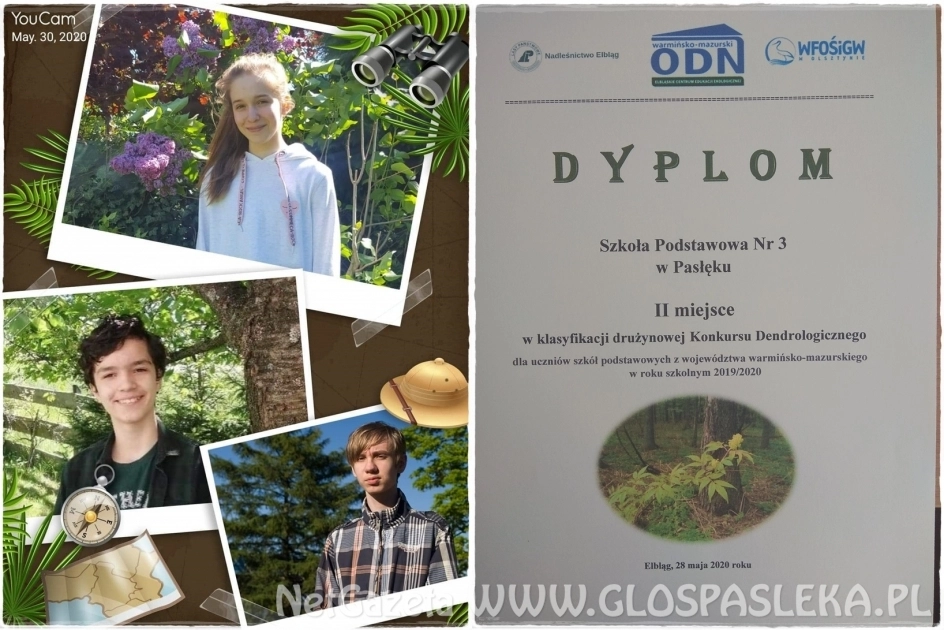 Konkurs dendrologiczny w czasach pandemii