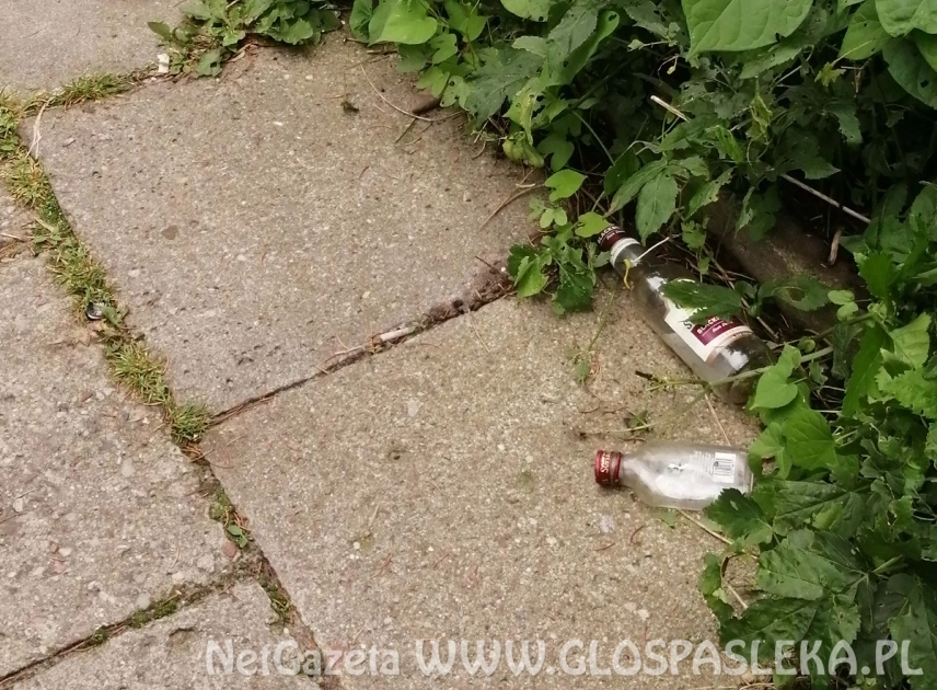 List – zapomniana ścieżka