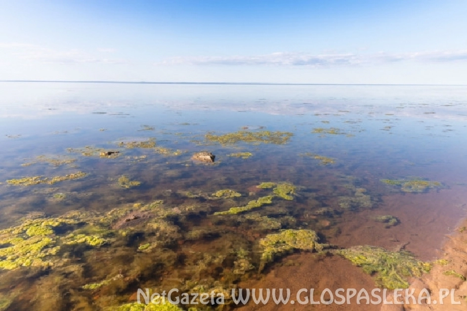 Dlaczego należy systematycznie analizować ścieki?