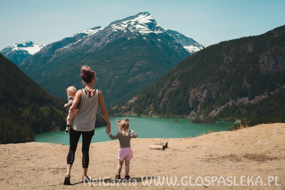 Rekord w liczbie założonych profili na PUE