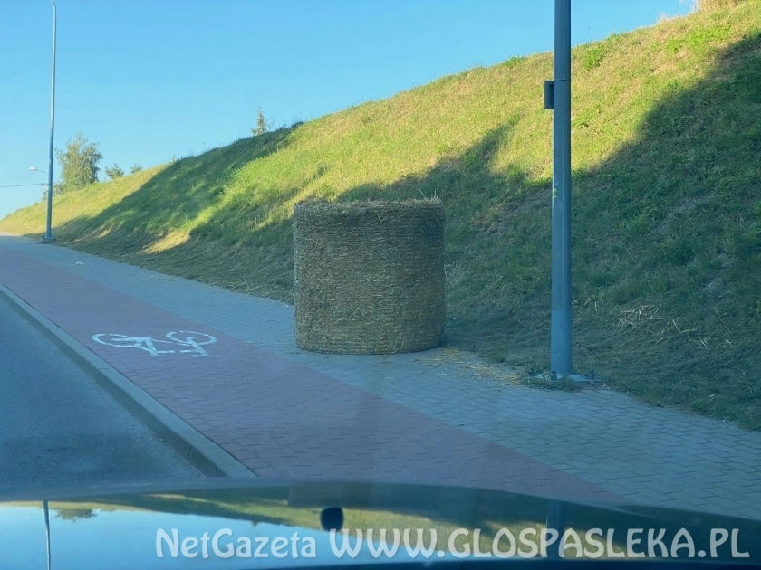 Młodzież się bawi