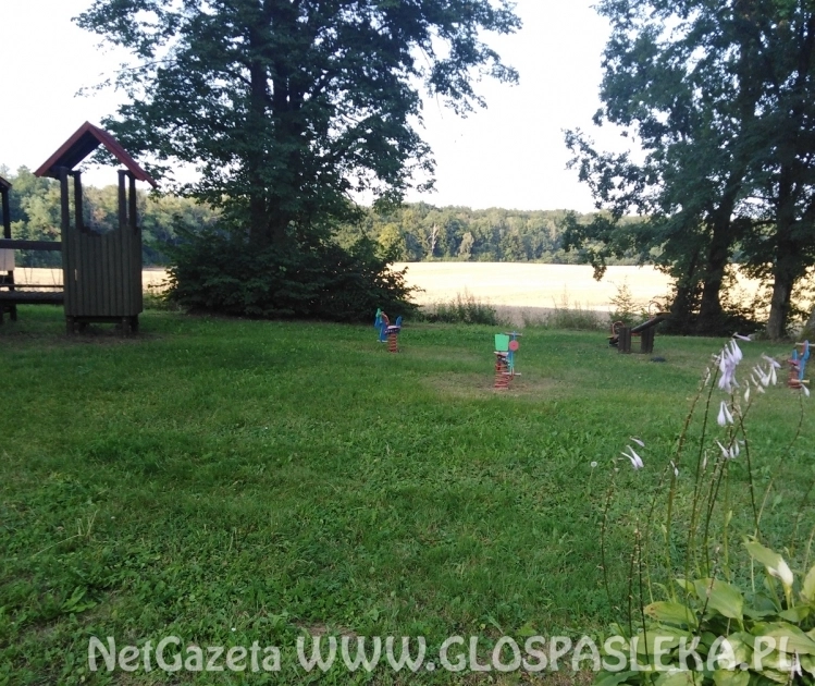 Informacja - Kwitajny